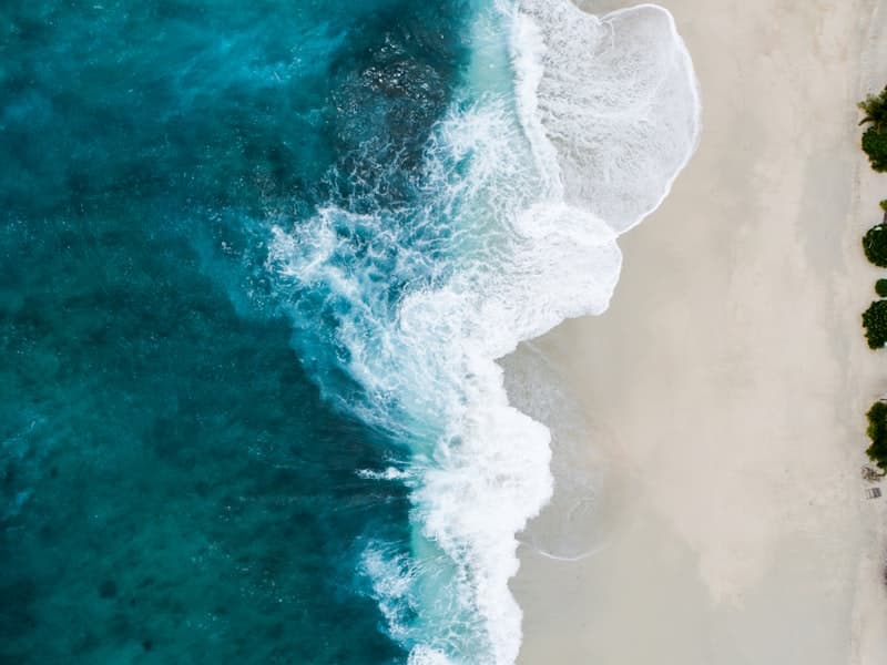 Ocean Plastic Interception